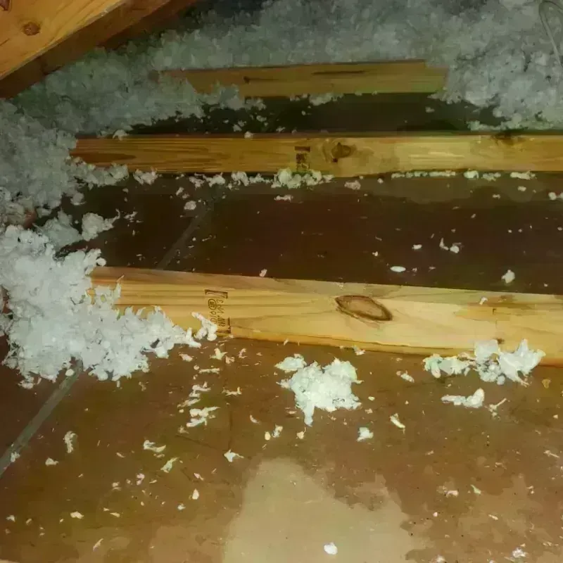 Attic Water Damage in Hastings, PA